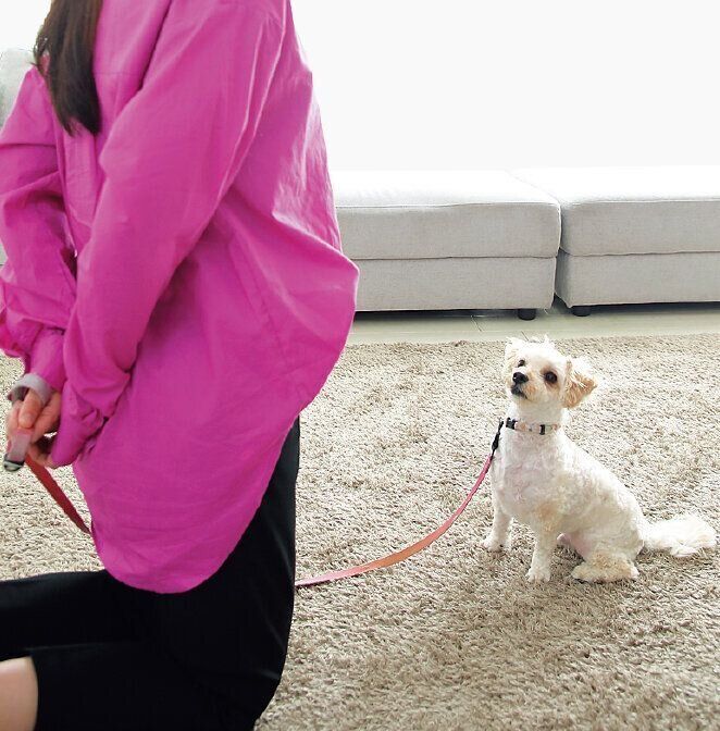 撮影／尾﨑たまき