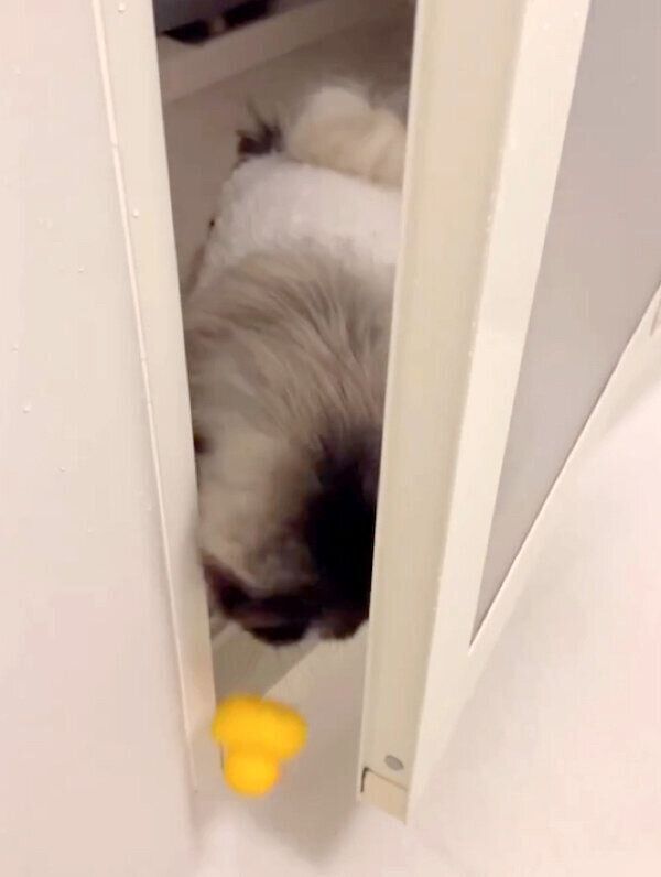 お風呂場に差し入れを持ってくるモブくん