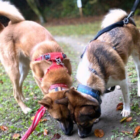 ただ今、においチェック中！