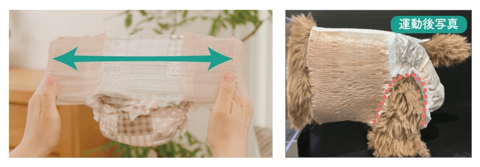 「エリエールPet キミおもい のびのび動けるアクティブウェア」の特長