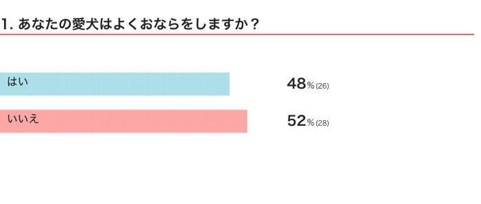 愛犬はよくおならをする?しない?