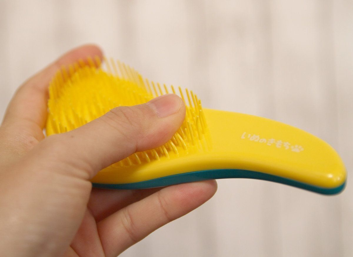 いぬのきもちふろくレポート