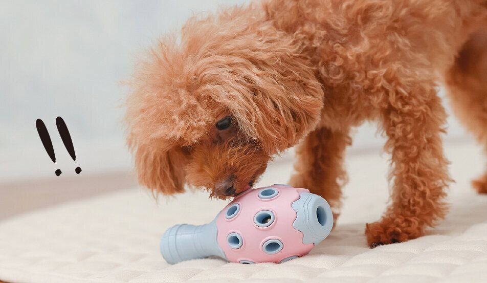 撮影／尾﨑たまき