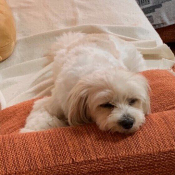 眠っているメルちゃん