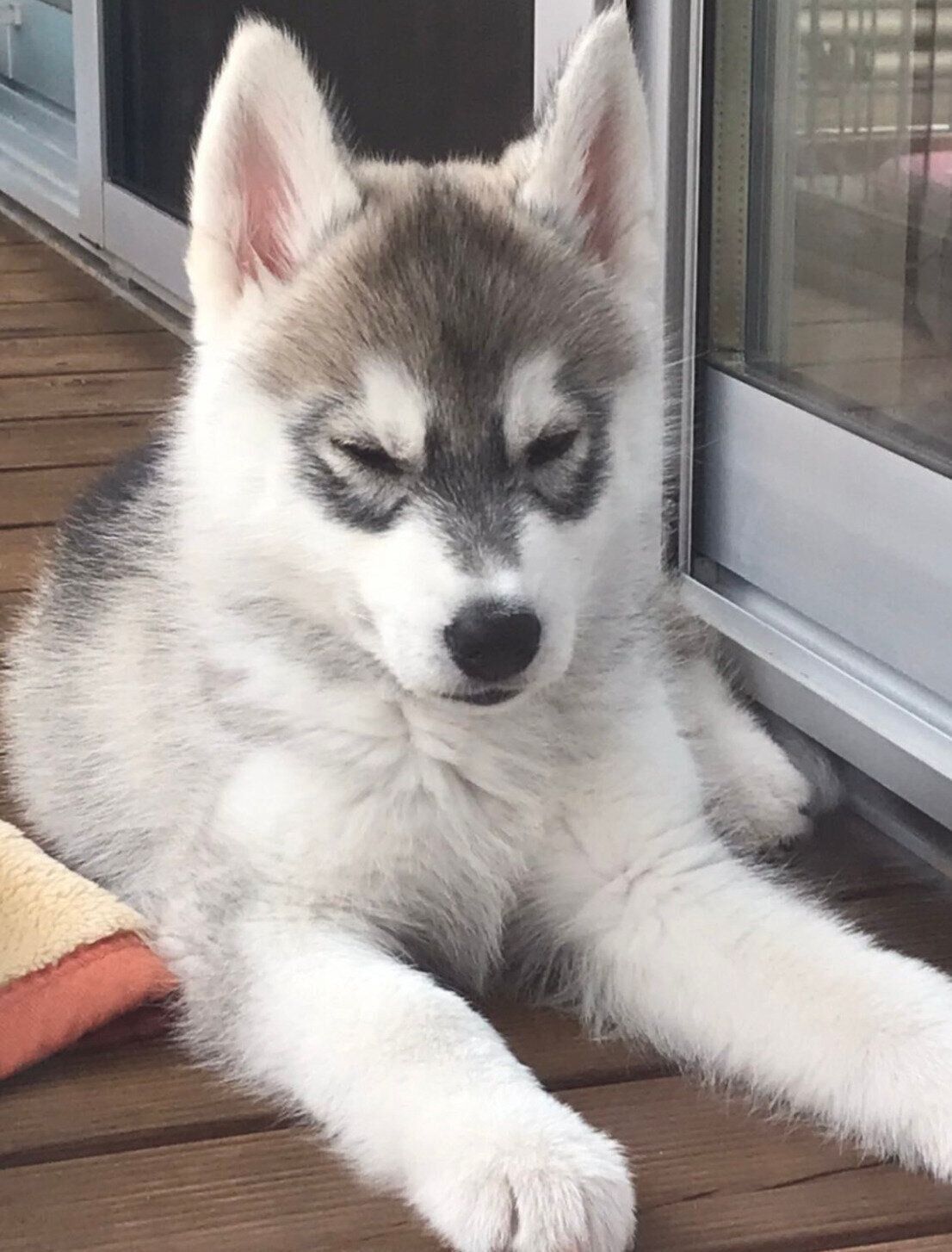 お迎えして3日目のはるくん