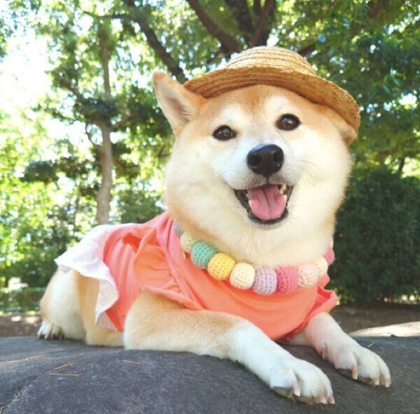 笑うチャーミーちゃん