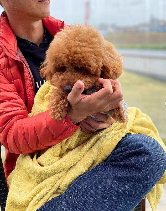 そらまめくんはパパの膝の上