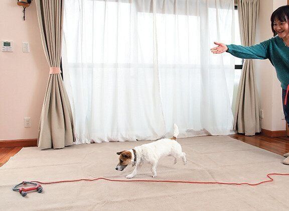 写真／尾﨑たまき