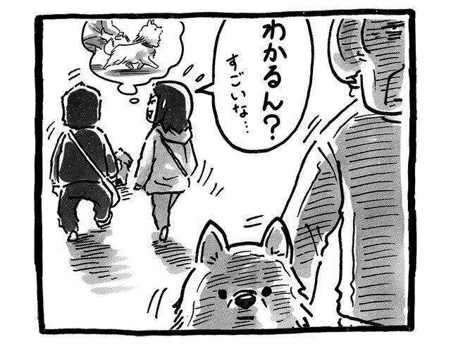 シーズー犬マンガてんぽshihtzu