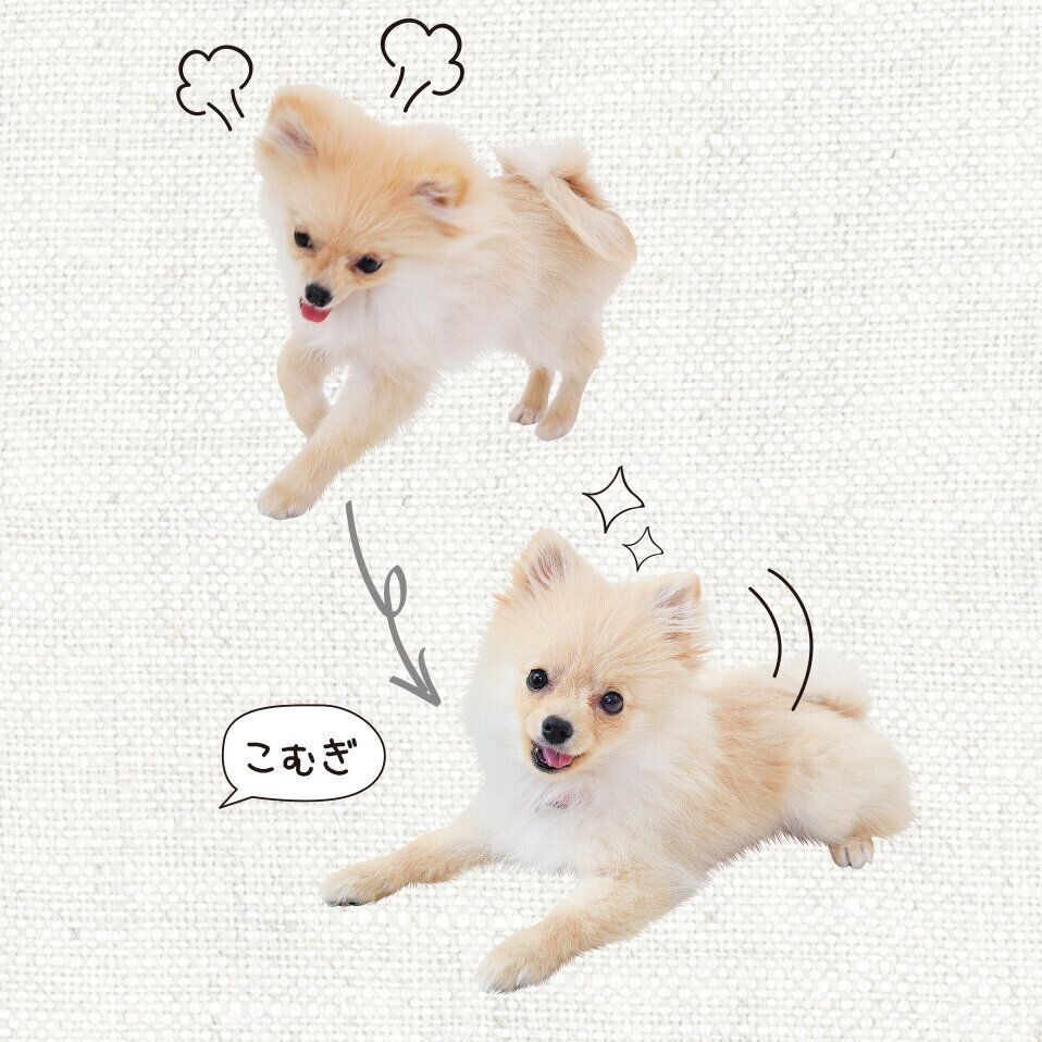 撮影／佐藤正之