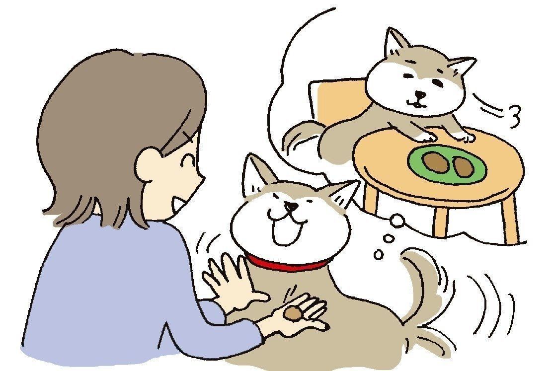 イラスト／おぐらなおみ