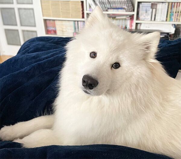 見つめるソランくん