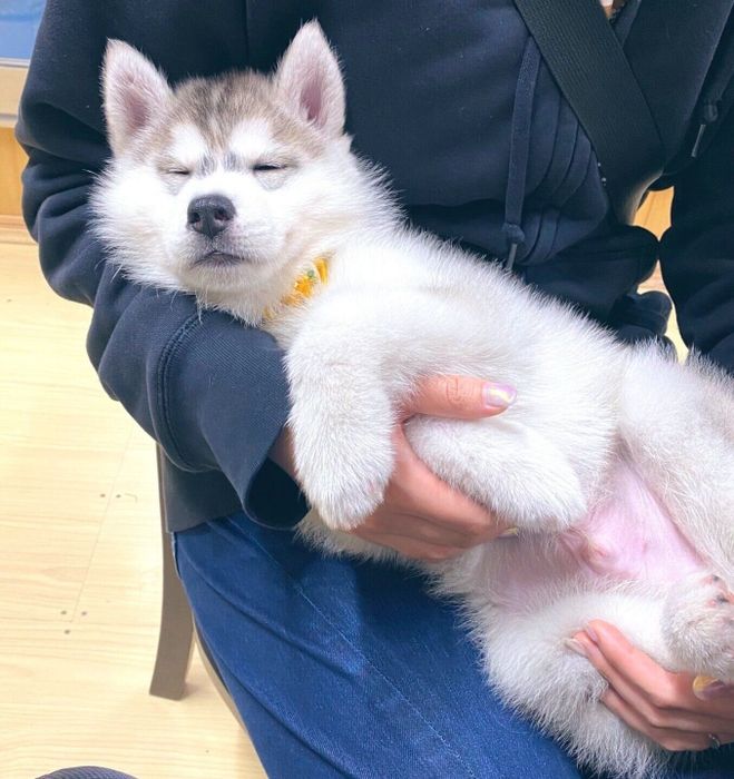 お迎え当日のふうくん