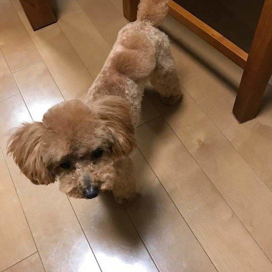 ハートスタイル