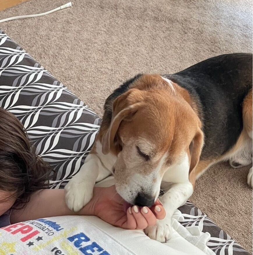 ロッティーくんは味のある手が大好き