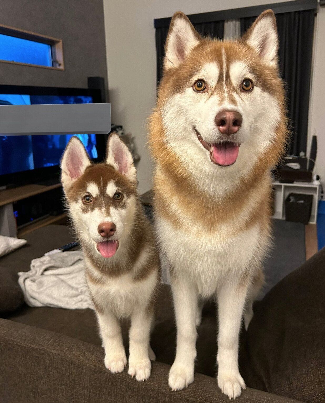 仲良しなレムちゃん、ロズくん