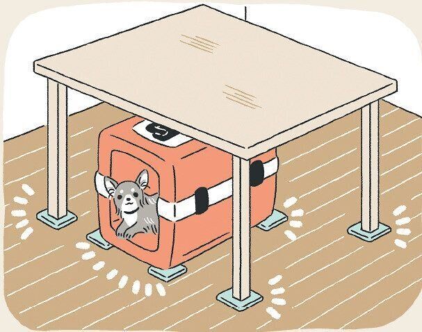 固定した愛犬用シェルター