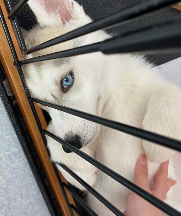 小さい頃のルディくん