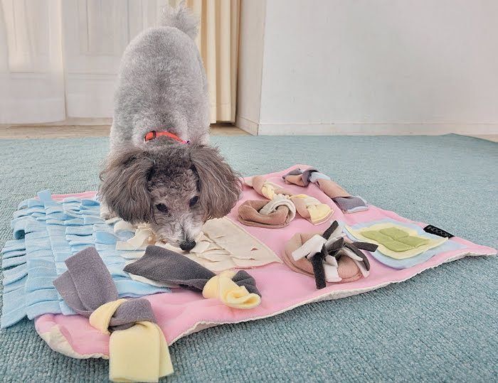 仕掛けつきの布で遊ぶ犬