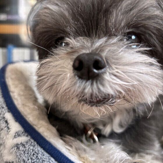 昼寝から目覚めたウルルくん