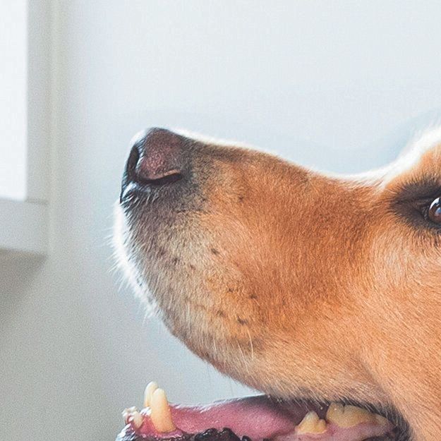 撮影／伊東武志