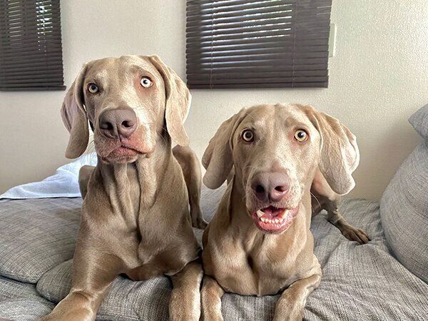 寄り添うルピくん、ロアくん