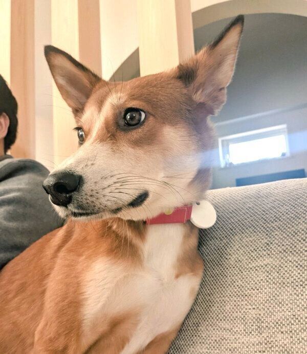 くつろぐカンタくん