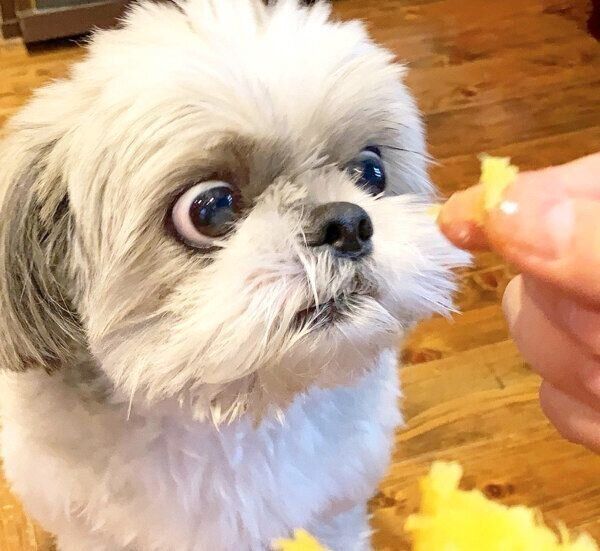 目を大きくするてんぽくん