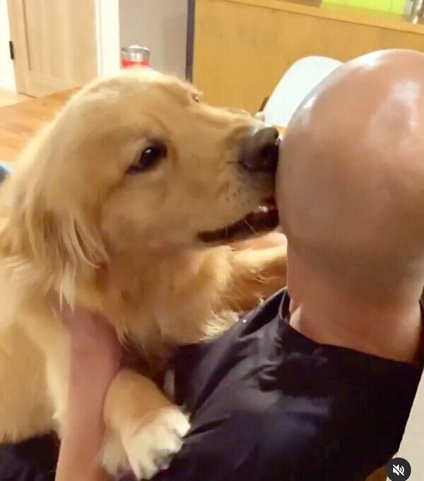 パパさんのことが大好きなモッシュくん