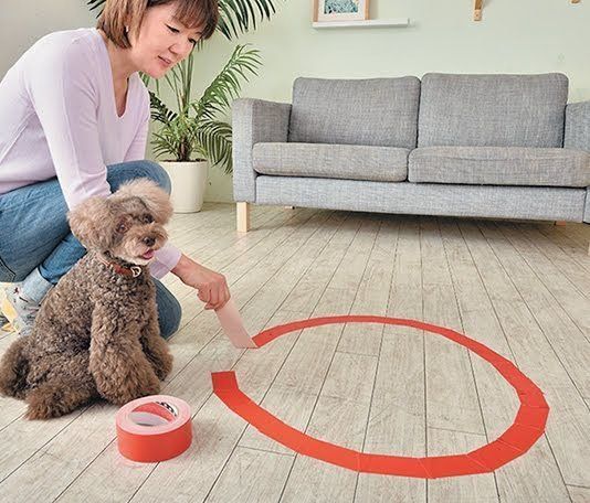 ボールdeカーリングごっこ1