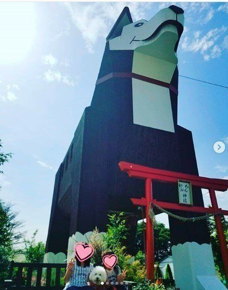 つくばわんわんランド