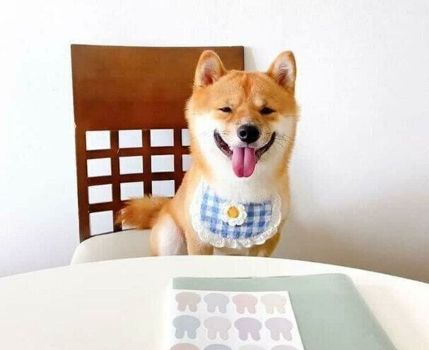 ニコニコなとらちゃん