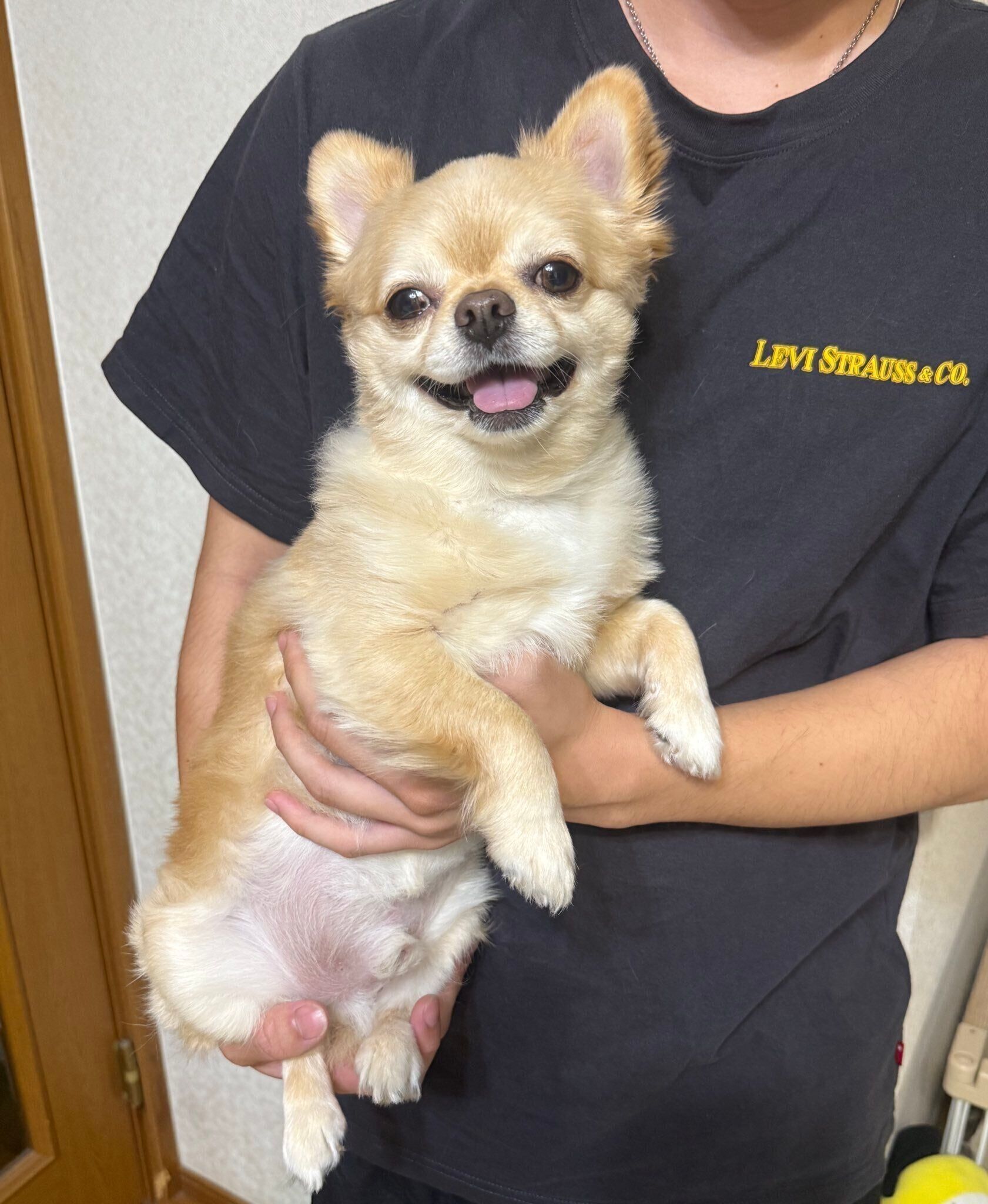 弟さんに抱っこしてもらうてんくん　とっても嬉しそう