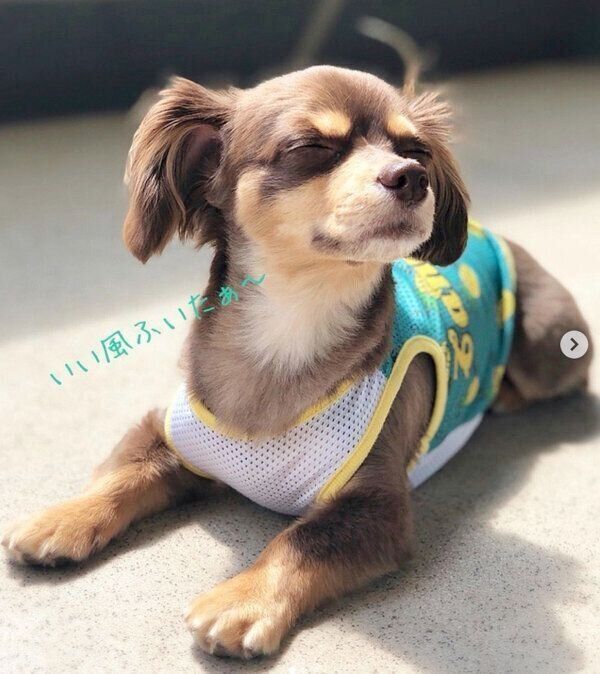 くつろぐ朔太郎くん