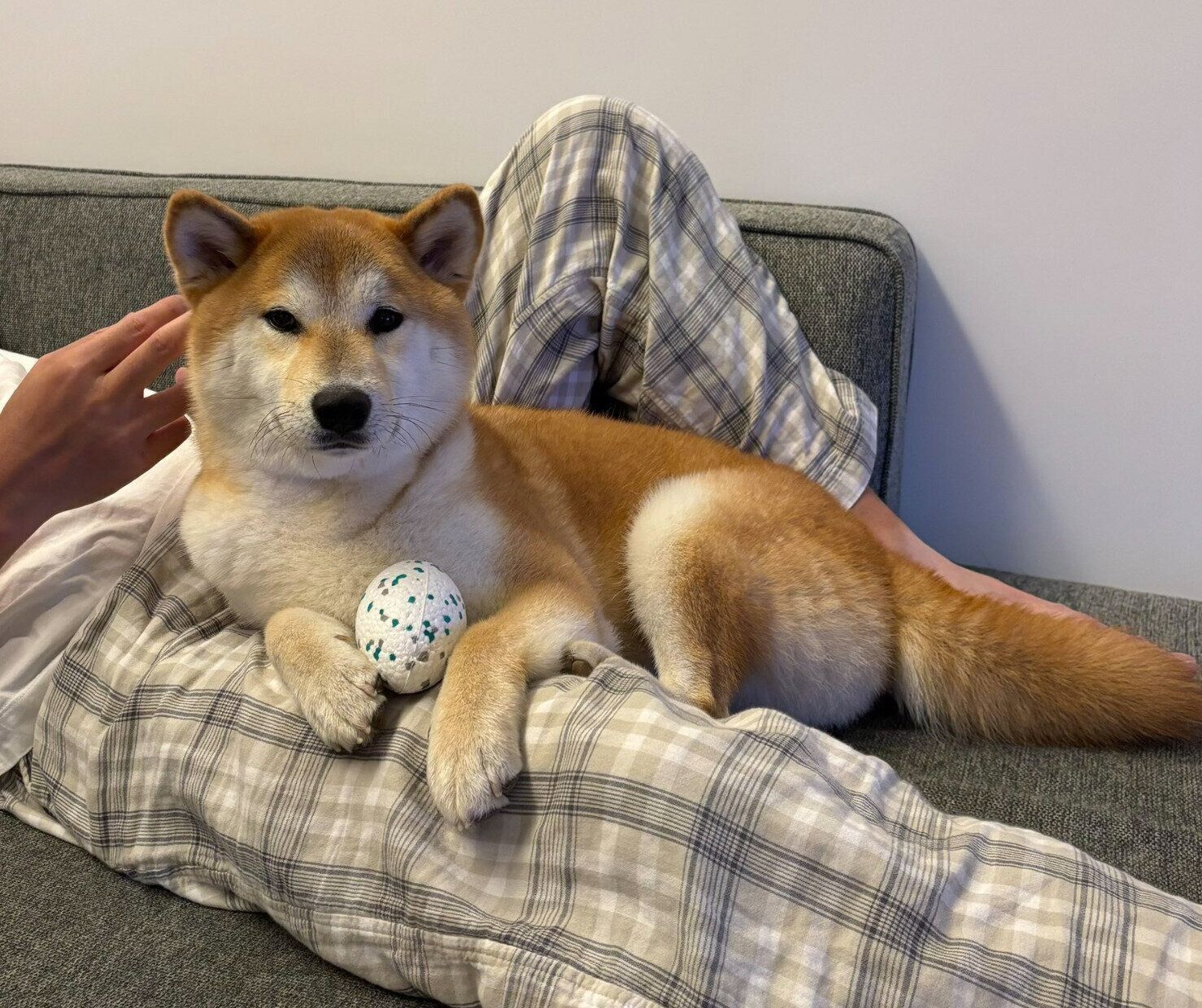 パパさんとまったりする会長さん