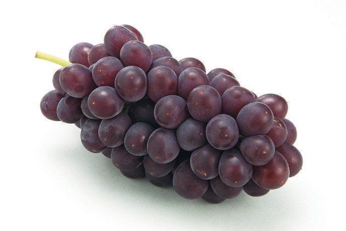 ぶどう