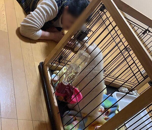 見つめ合うだいふくさんとおばあちゃん