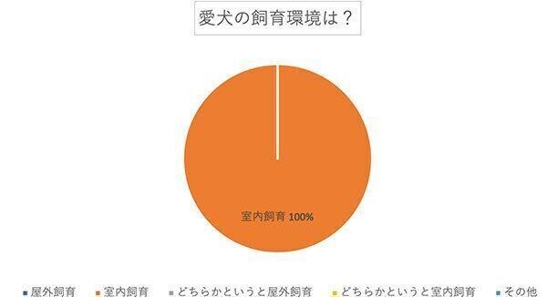愛犬の飼育環境は?