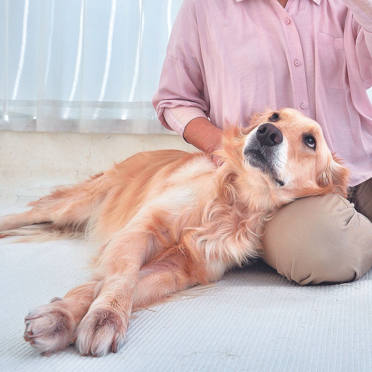 信頼している相手にくっつくと安心！