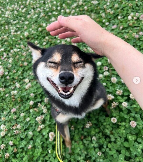 笑顔がかわいいコメ助くん