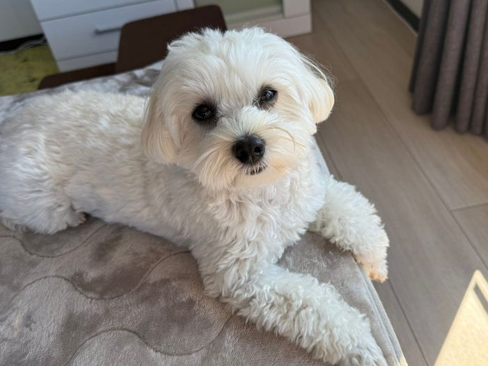 こちらを向くるいくん