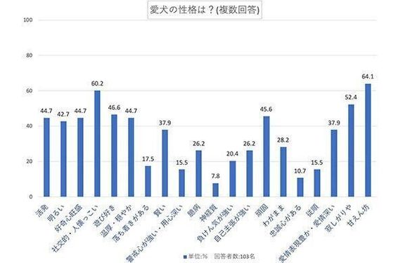 愛犬の性格は？