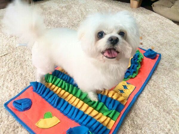 楽しそうなわむうくん