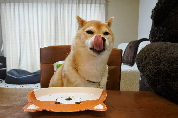 ごちそうさま