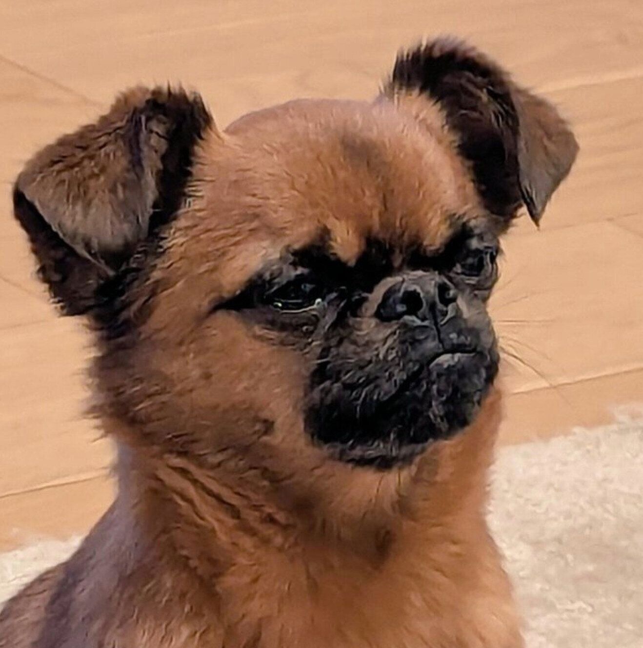 歯磨きを拒否するビノくん