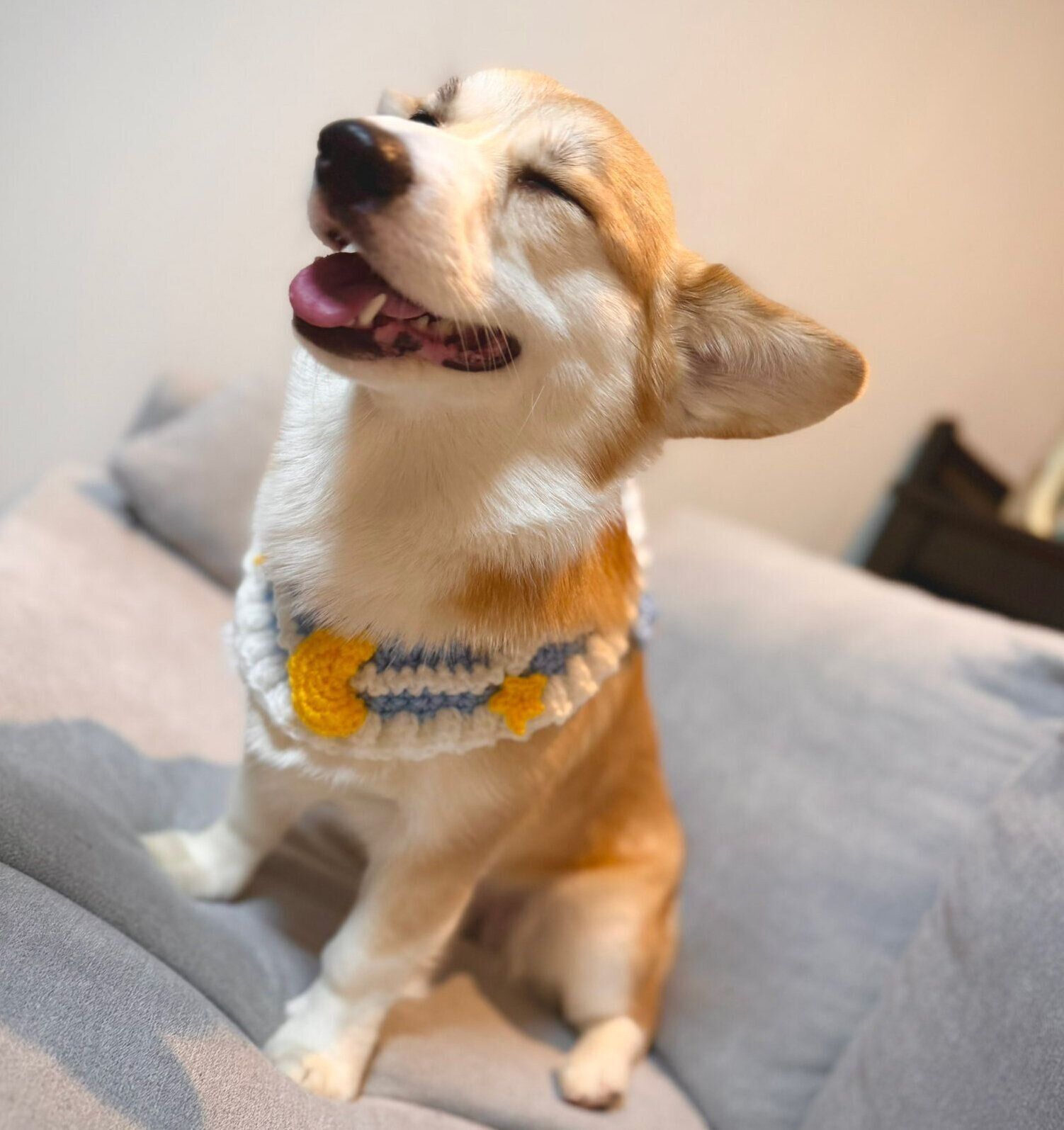 ニコッと笑う月ちゃん