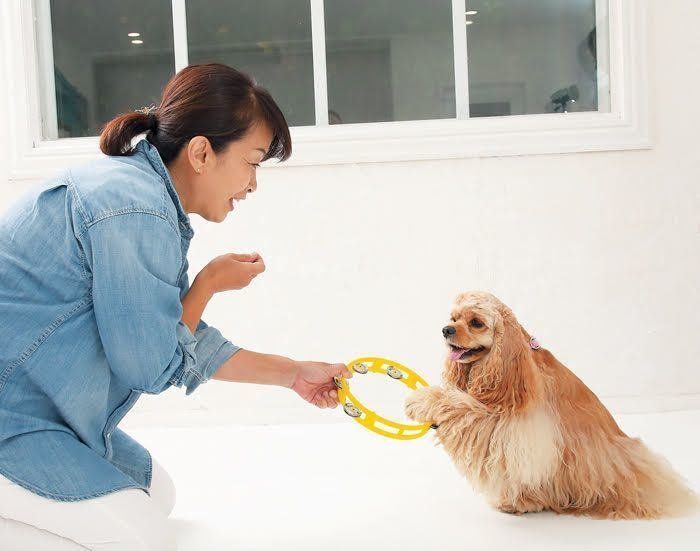 タンバリンにオテ