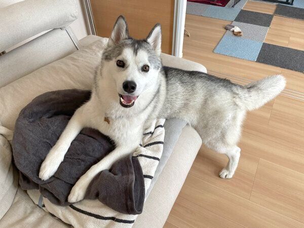 笑顔が可愛いじょんすのーくん