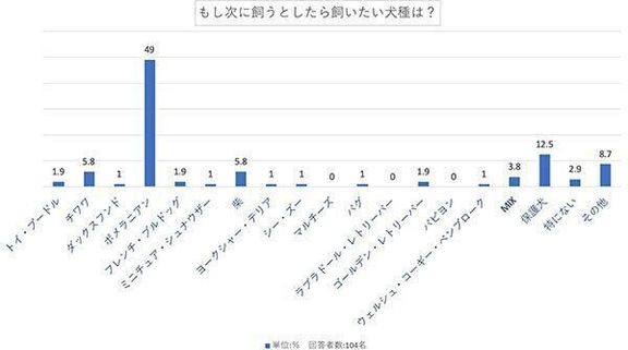 もし次に飼うとしたら飼いたい犬種は?