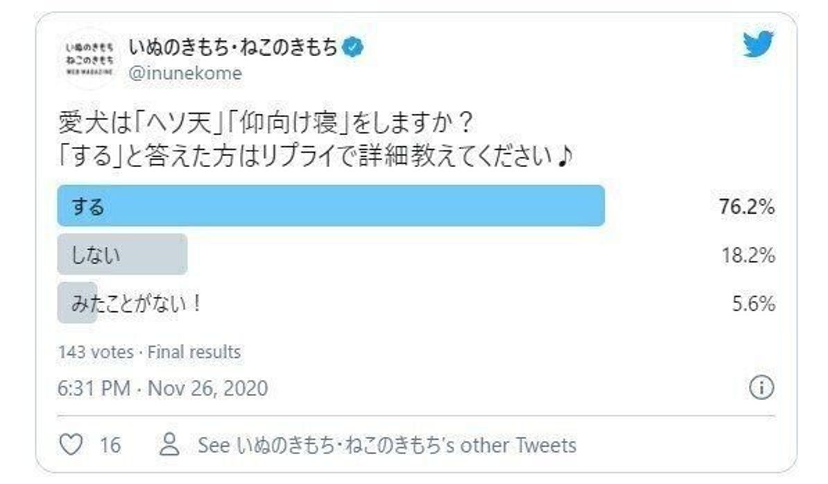愛犬が ヘソ天 仰向け寝 を目撃した飼い主さんは何割 その時の犬のキモチは いぬのきもちweb Magazine 愛犬が ヘソ天 仰向け寝 を目撃した飼い主さんは何割 その時の犬のキモチは いぬのきもちweb Magazine